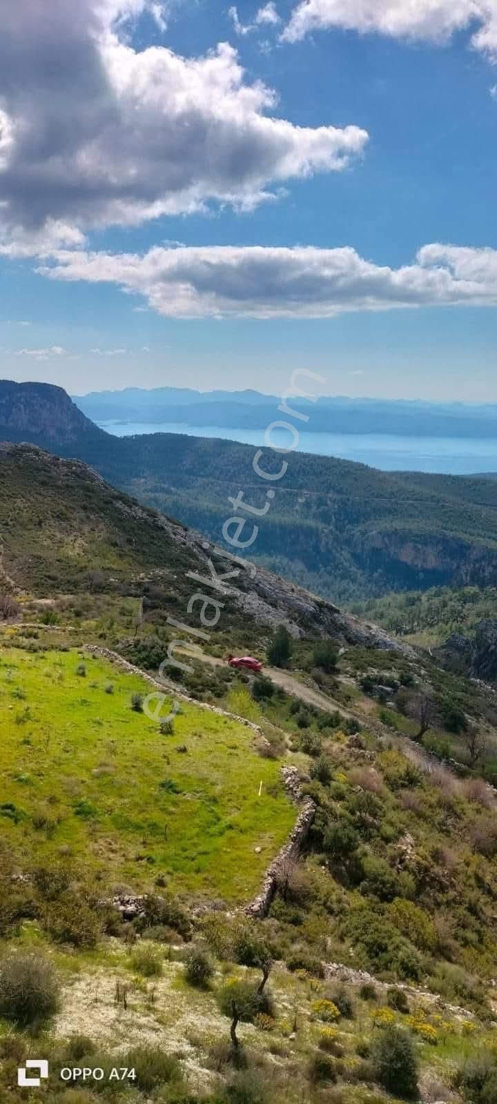 Dyk Est Emlaktan Muğla Menteşe Zeytinköy’de Köy İçinde Satılık 1597 M2 Satılık Tarla