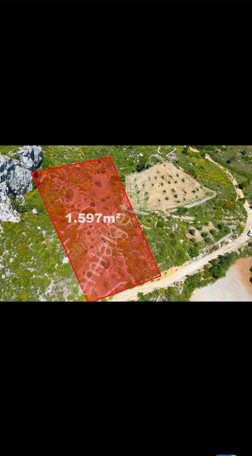 Dyk Est Emlaktan Muğla Menteşe Zeytinköy’de Köy İçinde Satılık 1597 M2 Satılık Tarla - Görsel 12