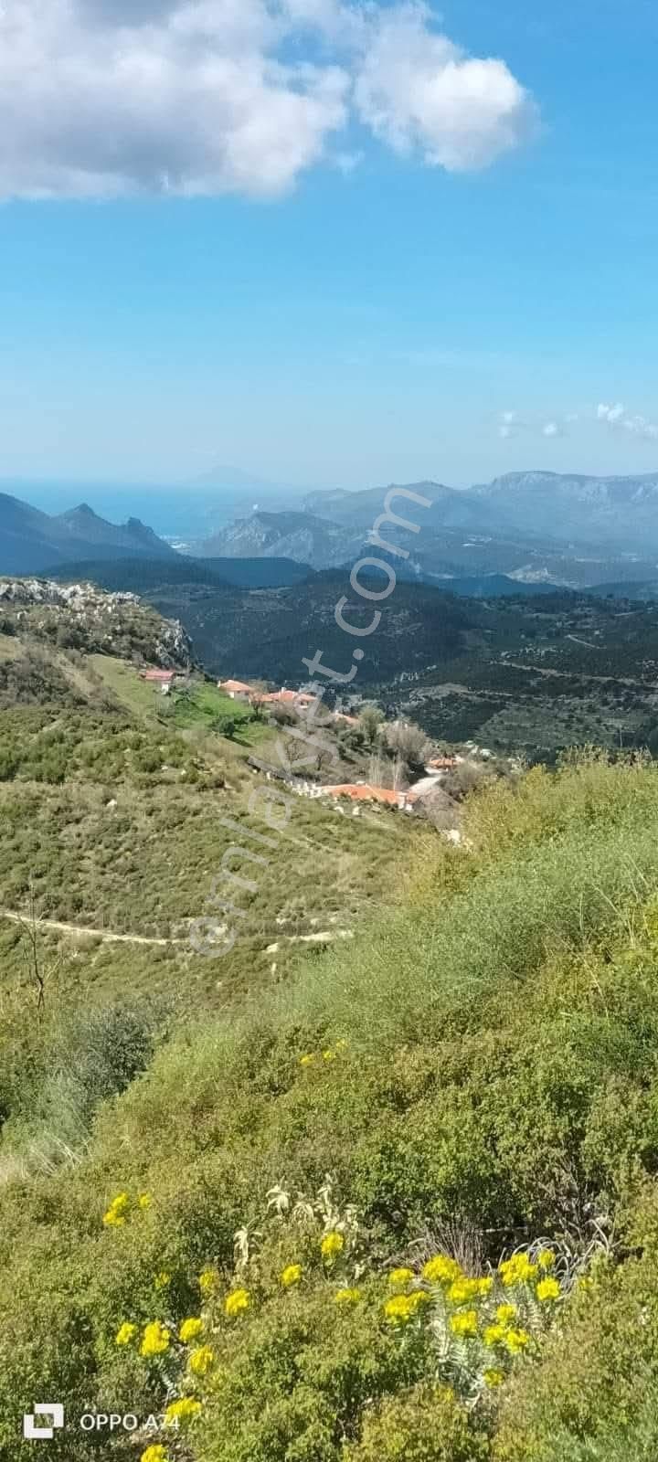 Dyk Est Emlaktan Muğla Menteşe Zeytinköy’de Köy İçinde Satılık 1597 M2 Satılık Tarla - Görsel 4