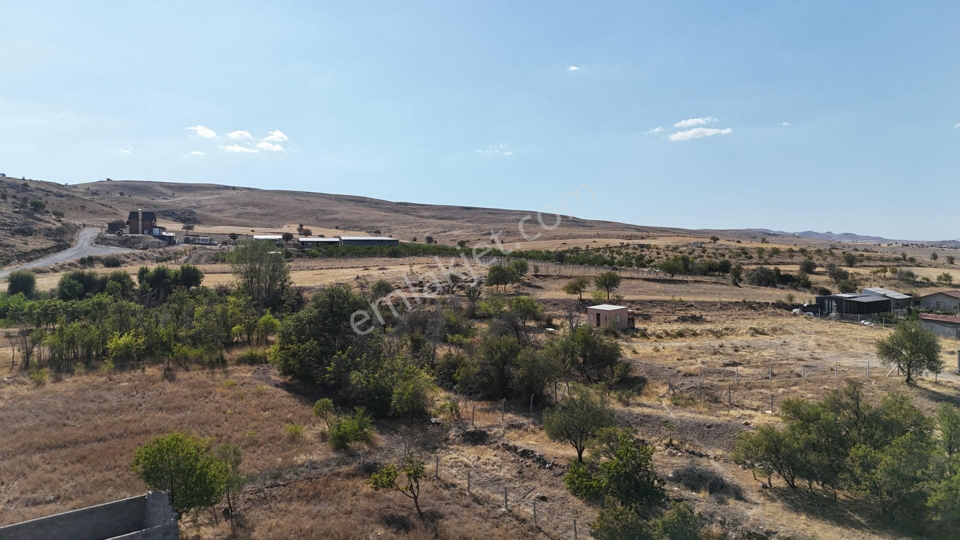 Konya / Meram / Bayat Mahallesinde 265 M² İntikal Tapulu Tarla - Görsel 6
