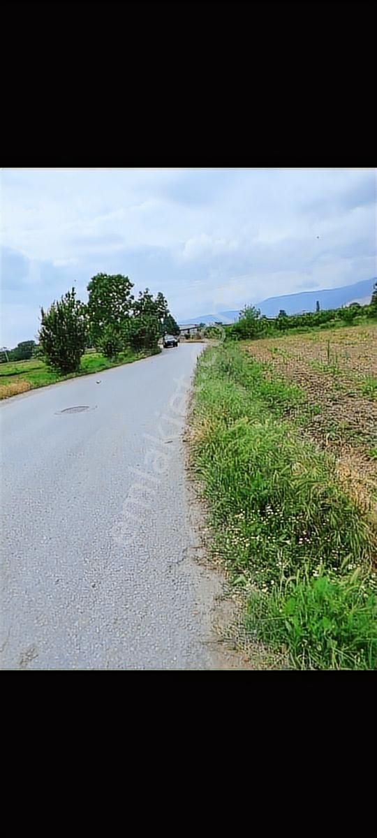 Bursa Gürsu İstiklal Kestel'e Giden Ara Yol Üzeri Satılık Bahçe - Görsel 2