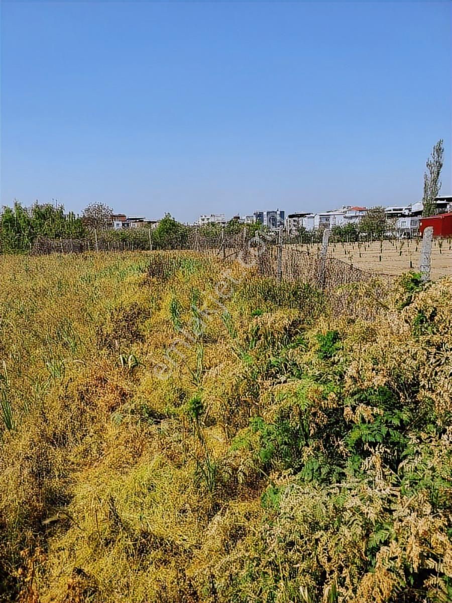 Bursa Gürsu Kurtuluş Satılık 1.510 M2 İmarlı Arsa. 15.000.000 Tl - Görsel 3