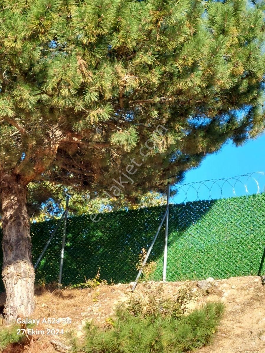 Bursa Gemlik Fındıcak Satılık Alt Yapısı Hazır 8.166 M2 Tarla. - Görsel 18
