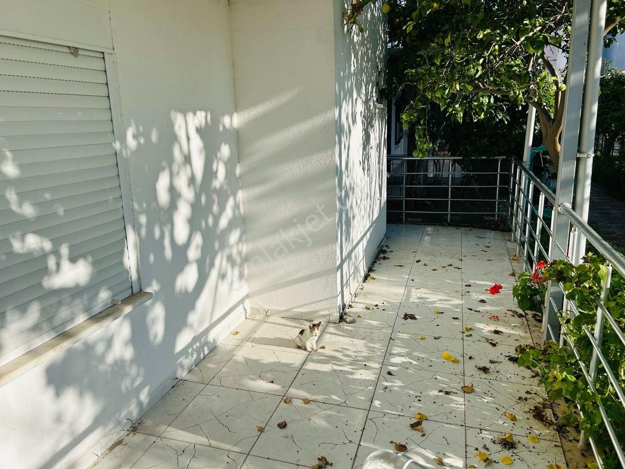 Didim Sağtur'da Satılık 3+1 Villa - Denize 600m Mesafede - Görsel 7