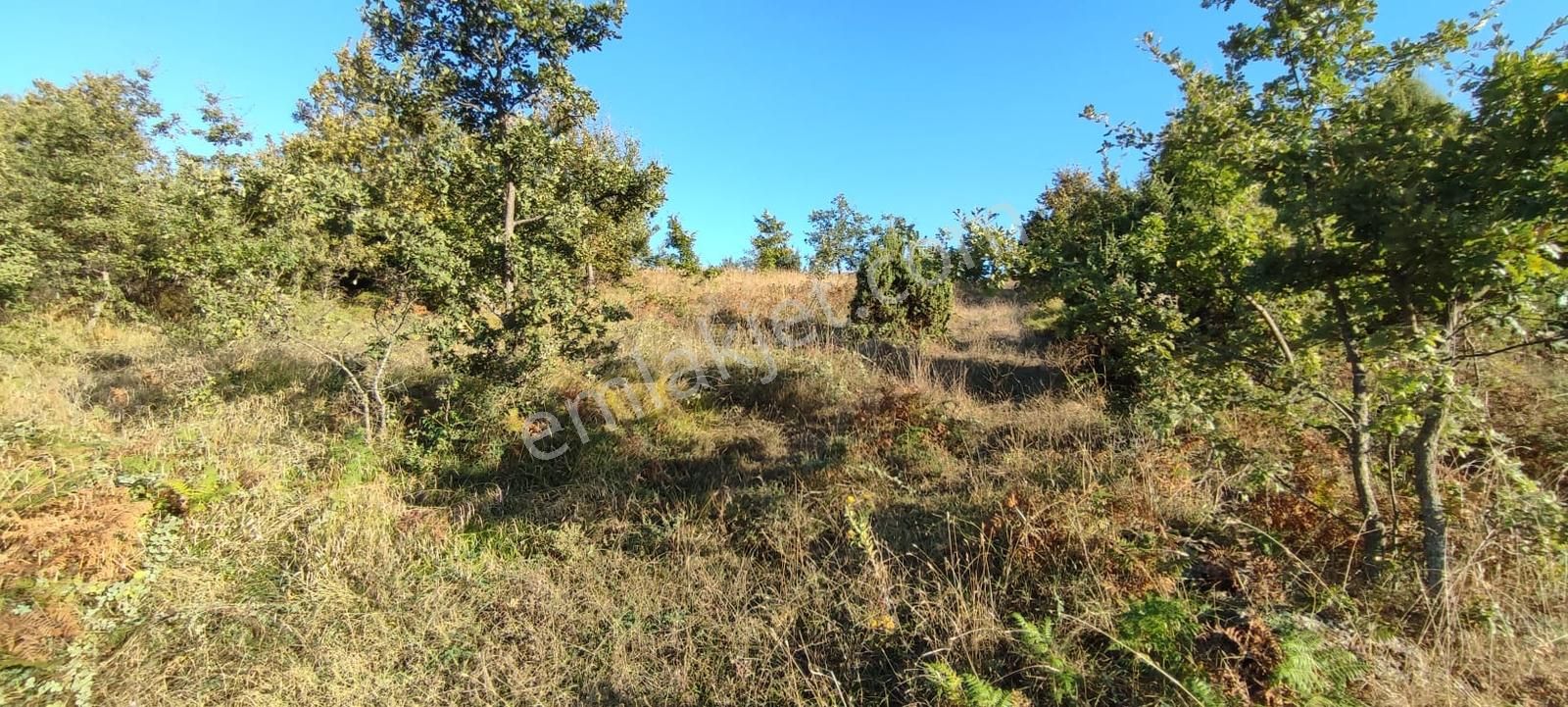 ️ Bursa Yenişehir Gökçesu Köyünde 2.993 M² Yatırımlık Tarla - Görsel 11