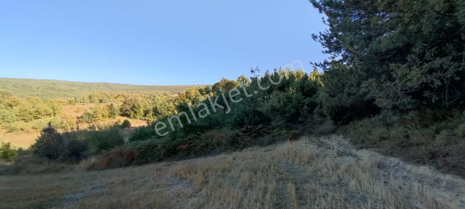 ️ Bursa Yenişehir Gökçesu Köyünde 2.993 M² Yatırımlık Tarla - Görsel 5