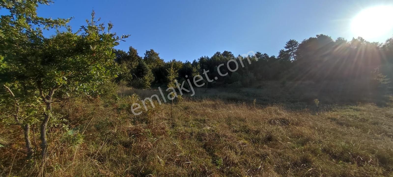 ️ Bursa Yenişehir Gökçesu Köyünde 2.993 M² Yatırımlık Tarla - Görsel 10