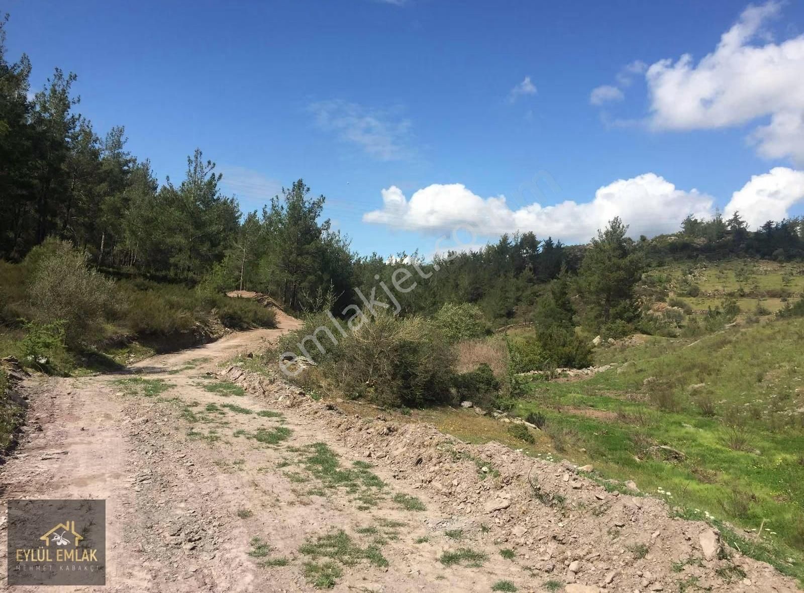 Beycilerde Satılık Tarla - Görsel 7