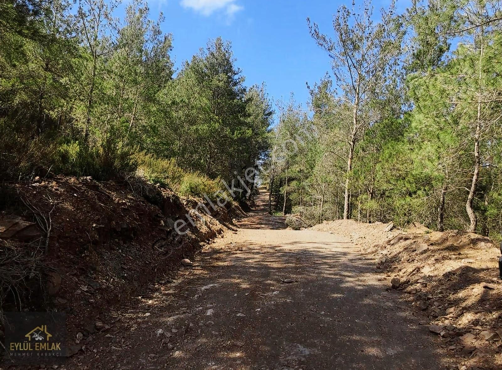 Beycilerde Satılık Tarla - Görsel 3