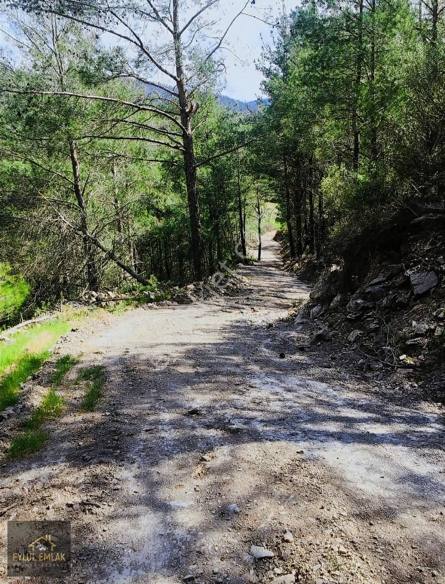 Beycilerde Satılık Tarla - Görsel 4