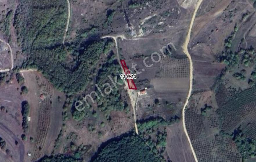 Kocaeli Kandıra Nasuhlar Köyünde 779 M² Tarla Satılıktır