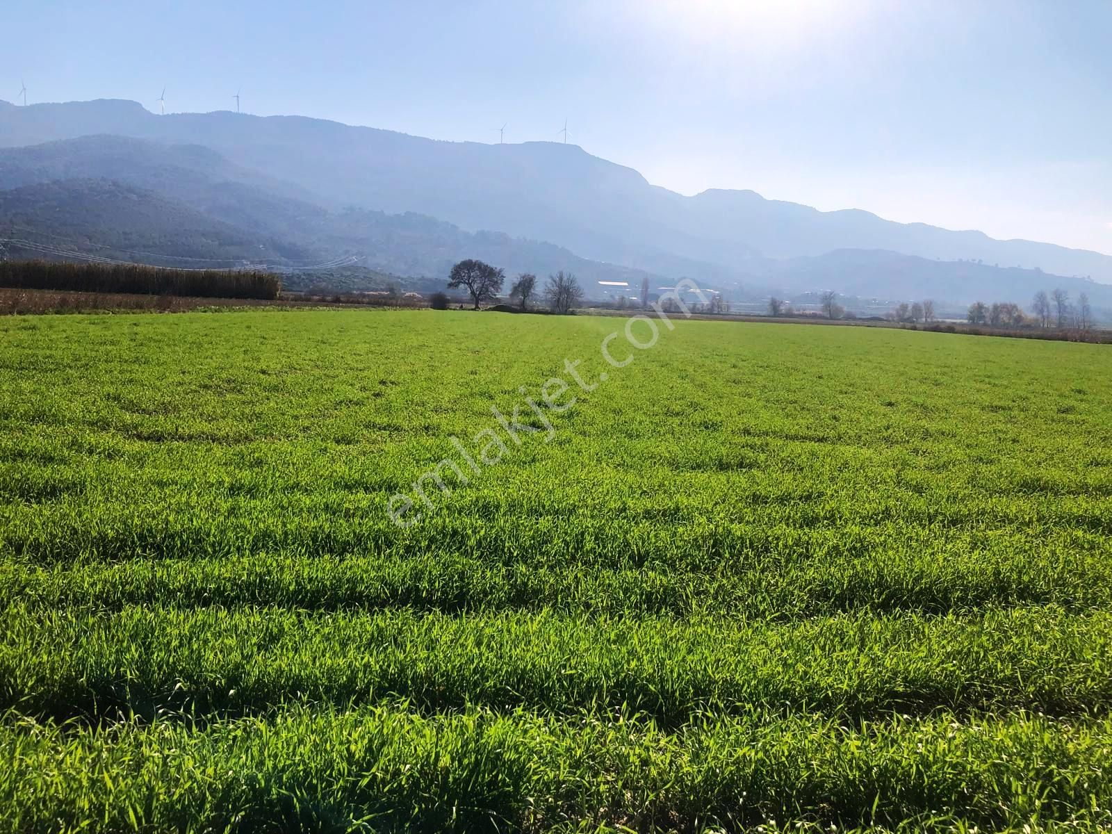 Verimli Tarla Her Mahsule Uygun - Görsel 9