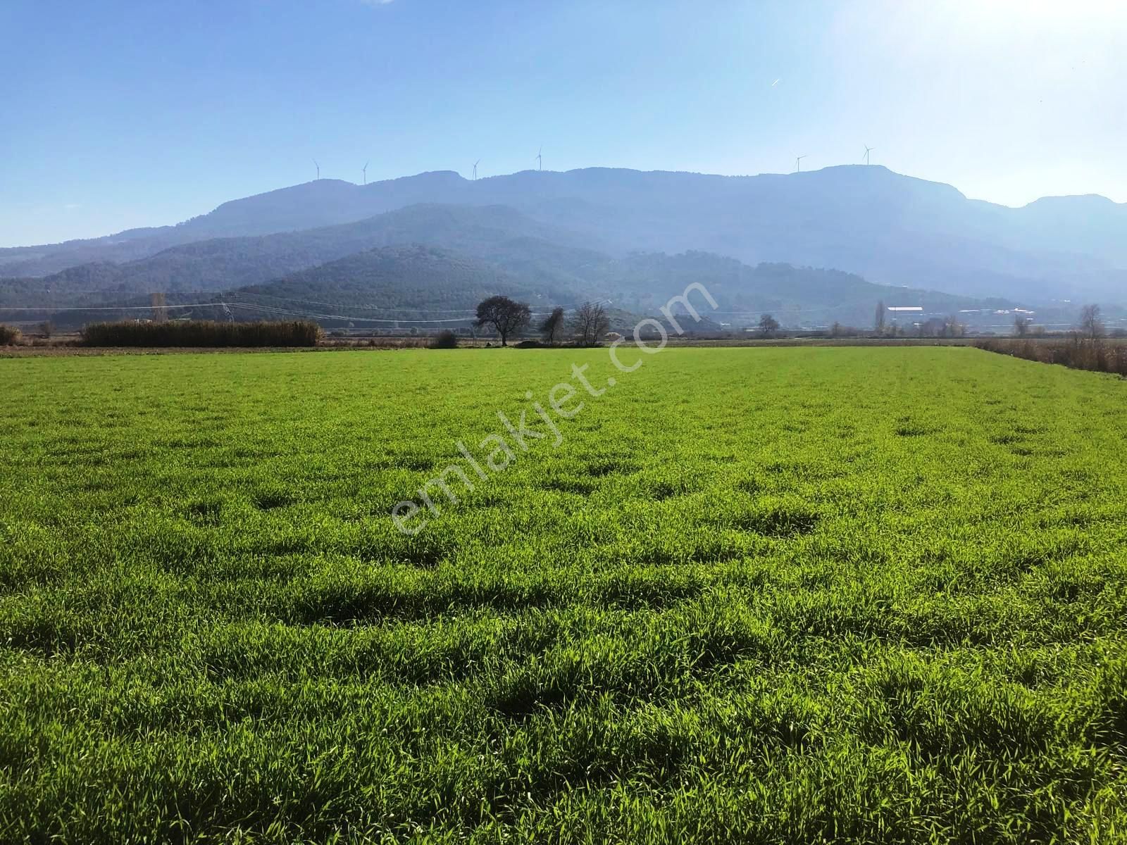 Verimli Tarla Her Mahsule Uygun - Görsel 11