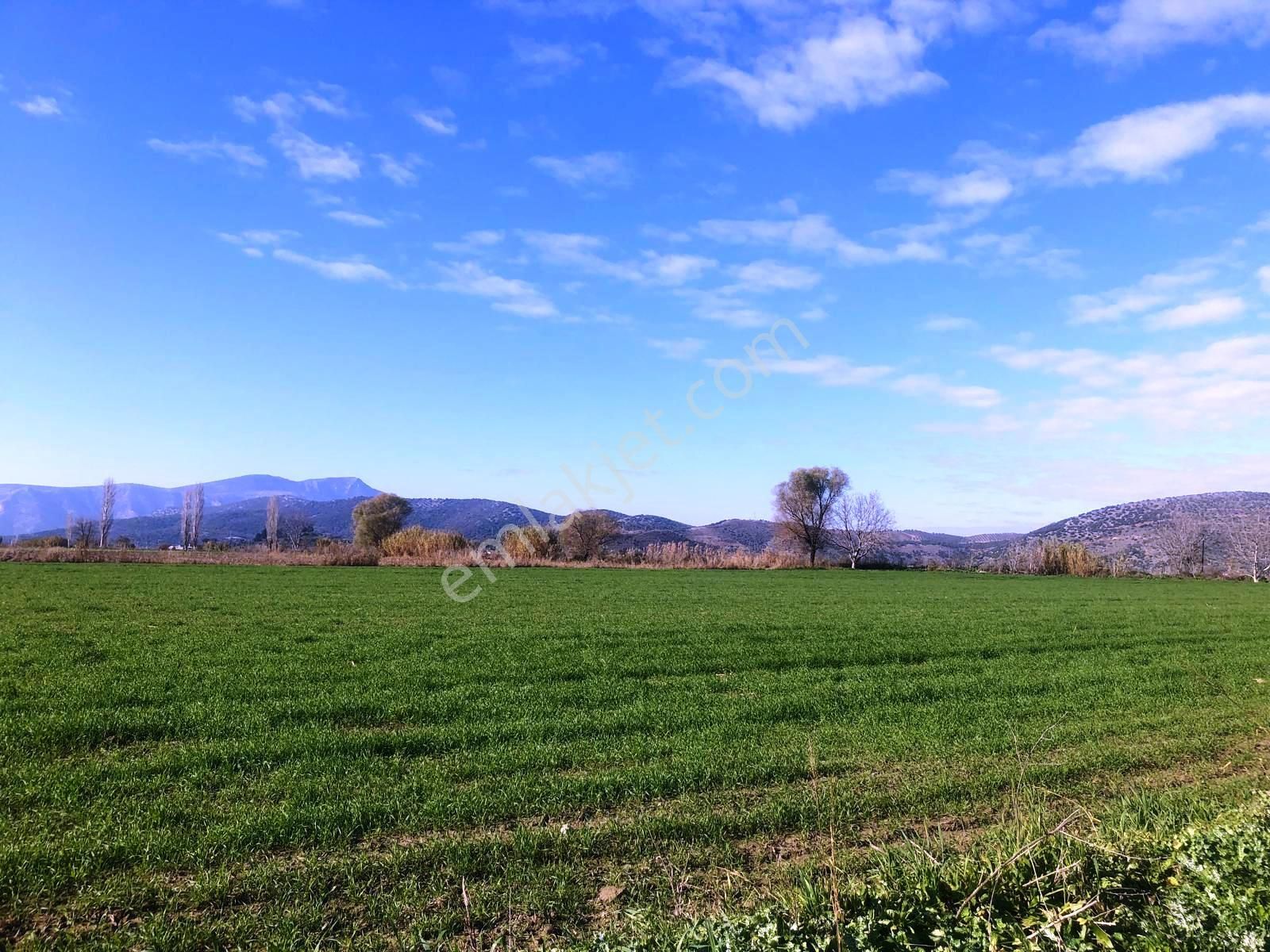 Verimli Tarla Her Mahsule Uygun - Görsel 7