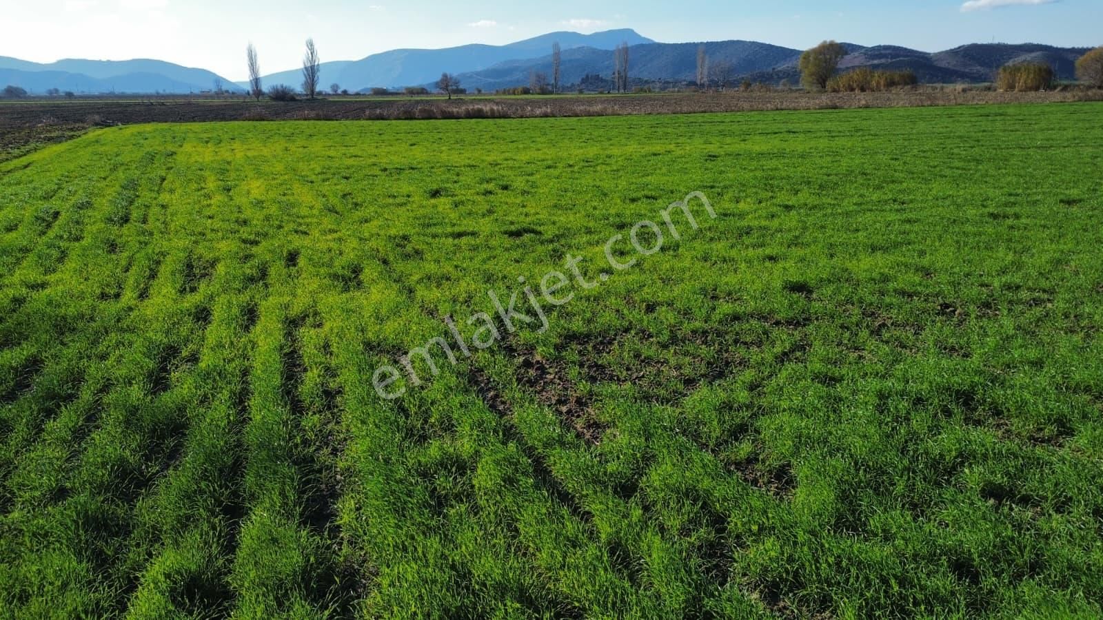 Verimli Tarla Her Mahsule Uygun - Görsel 12