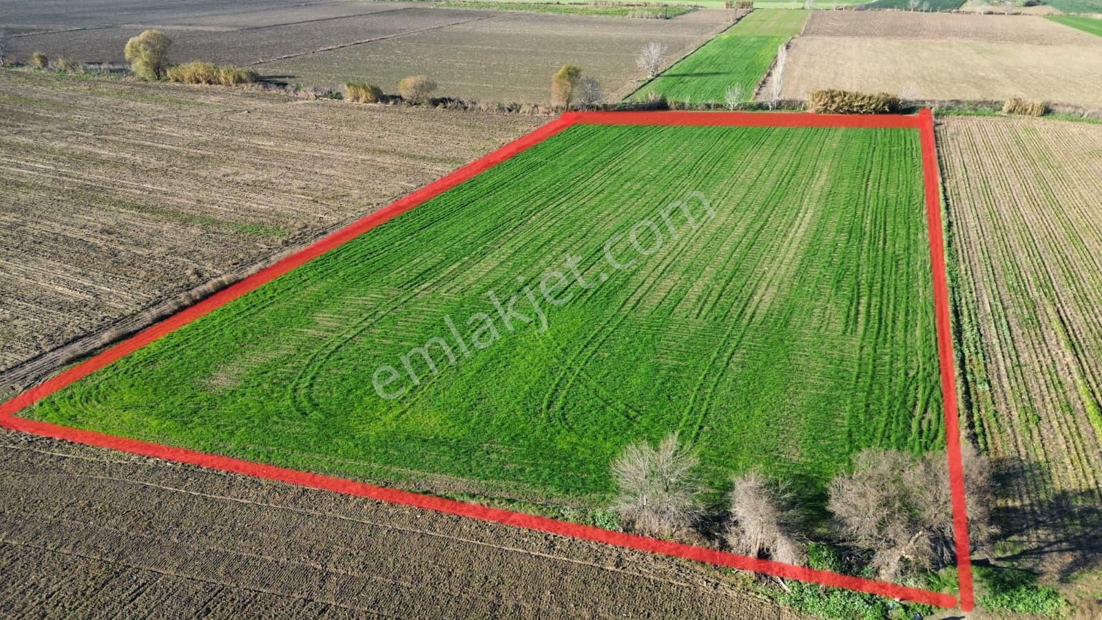 Verimli Tarla Her Mahsule Uygun - Görsel 3