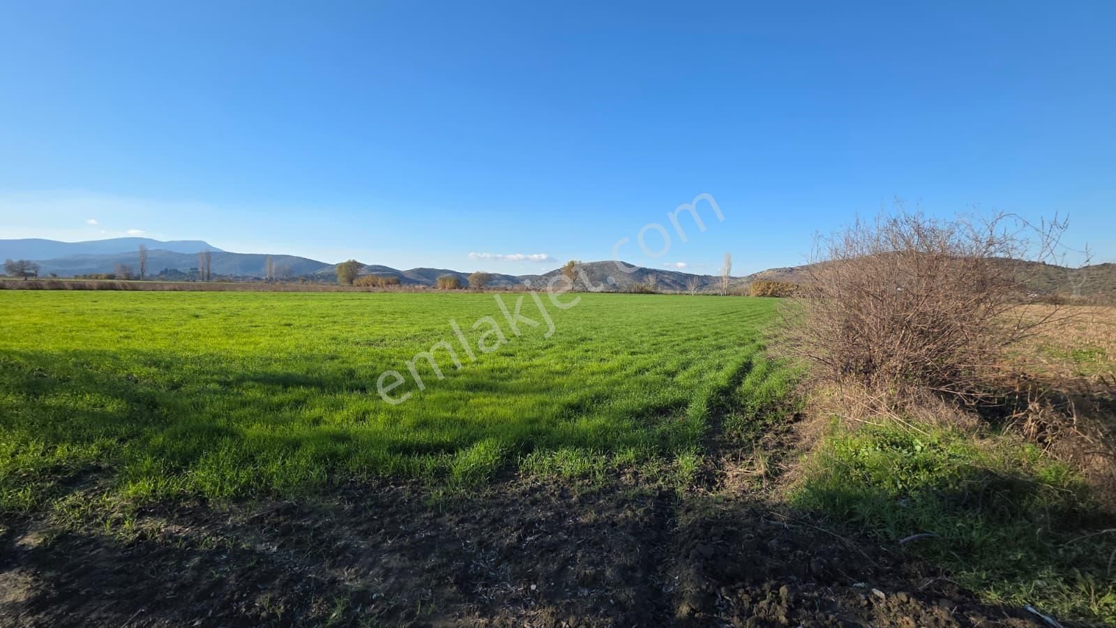 Verimli Tarla Her Mahsule Uygun - Görsel 13