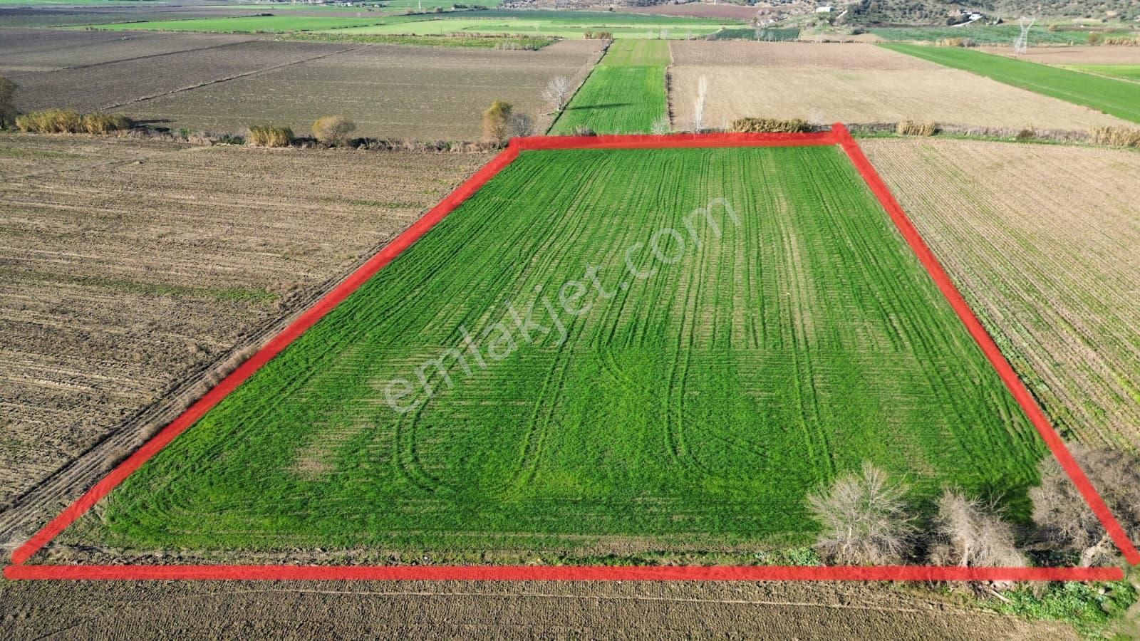 Verimli Tarla Her Mahsule Uygun