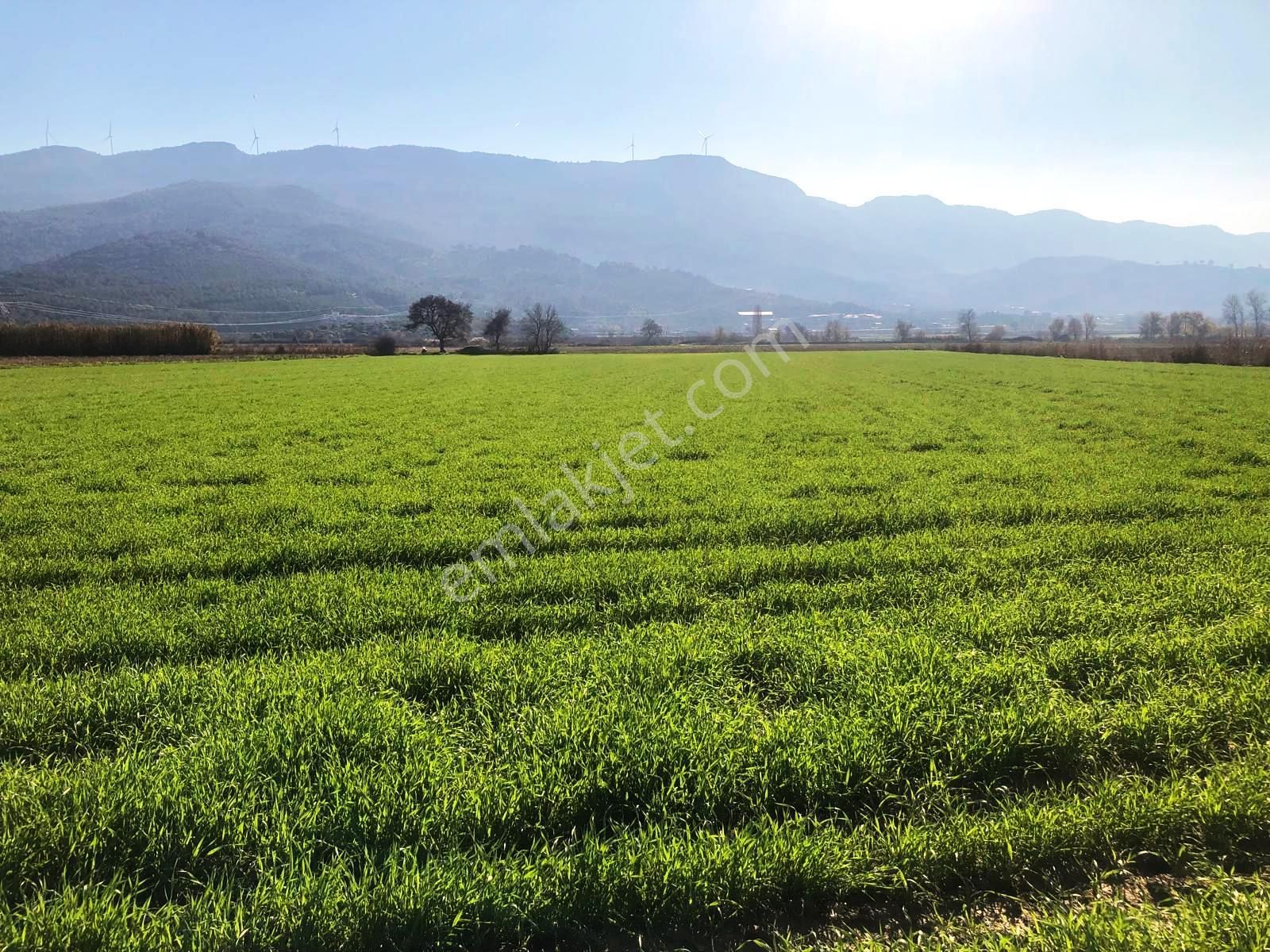 Verimli Tarla Her Mahsule Uygun - Görsel 6