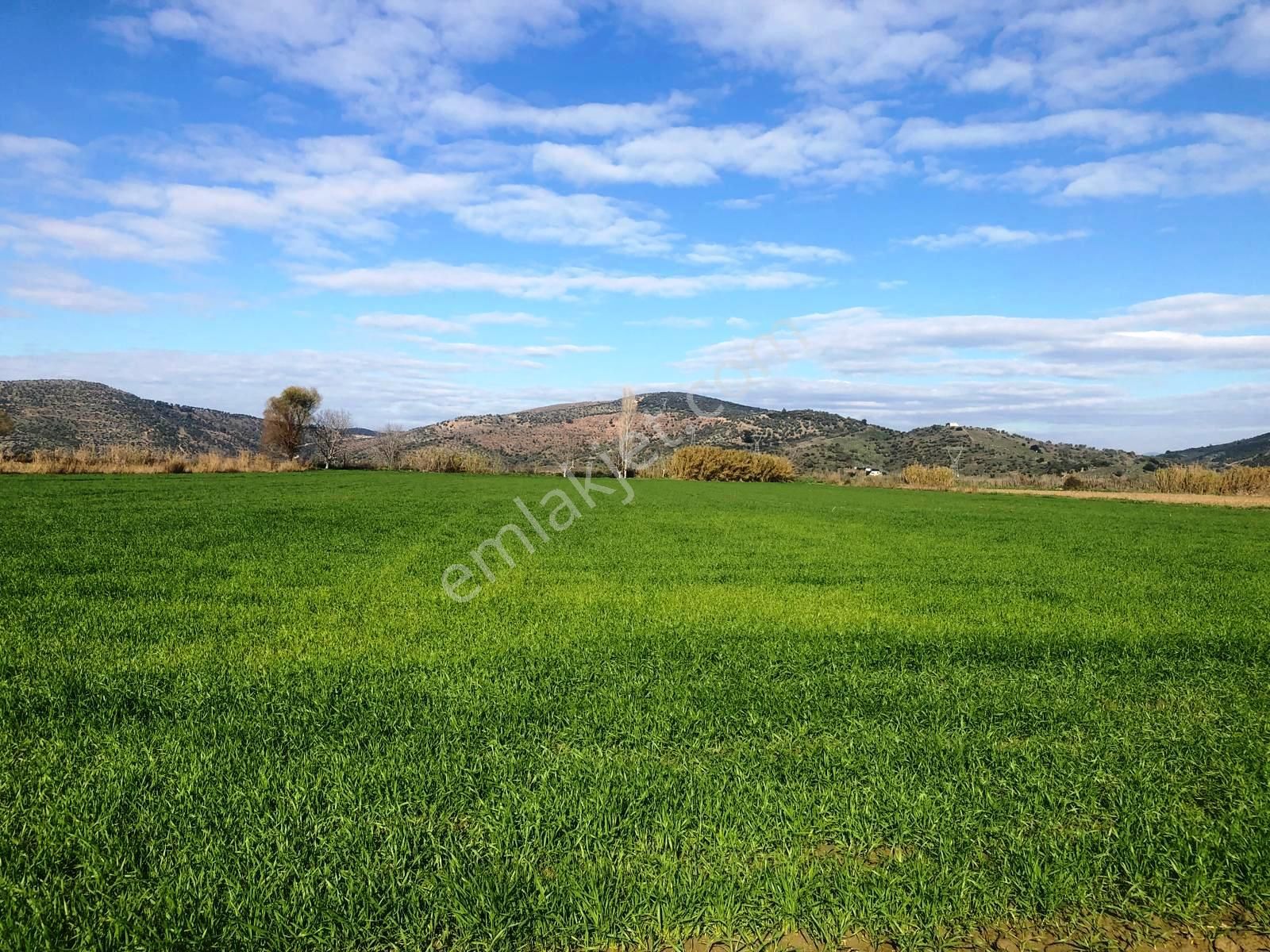 Verimli Tarla Her Mahsule Uygun - Görsel 10