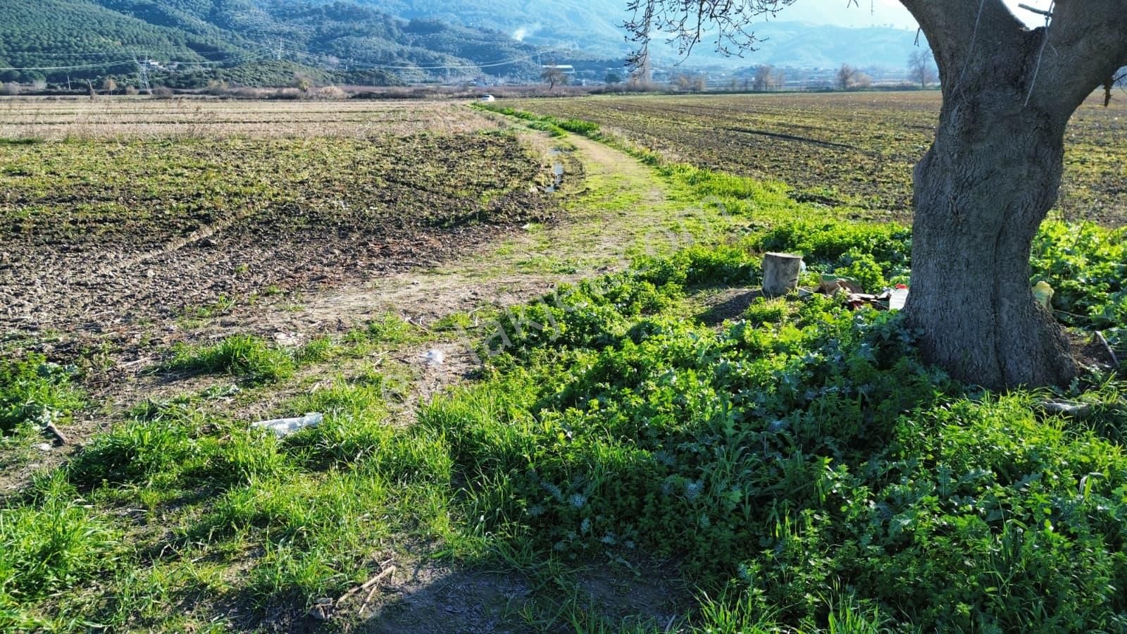 Verimli Tarla Her Mahsule Uygun - Görsel 5