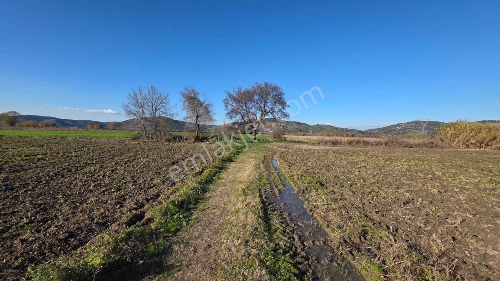 Verimli Tarla Her Mahsule Uygun - Görsel 4