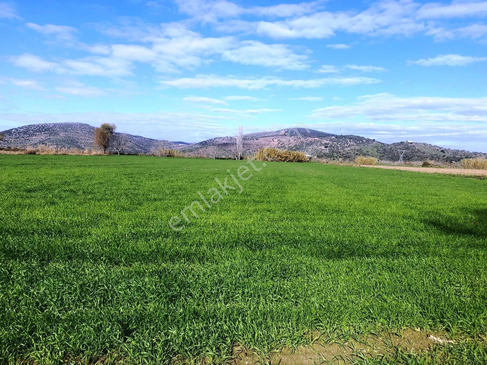 Verimli Tarla Her Mahsule Uygun - Görsel 8