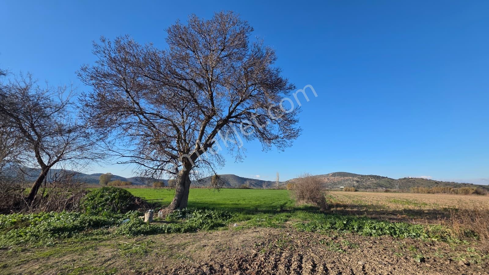 Verimli Tarla Her Mahsule Uygun - Görsel 14