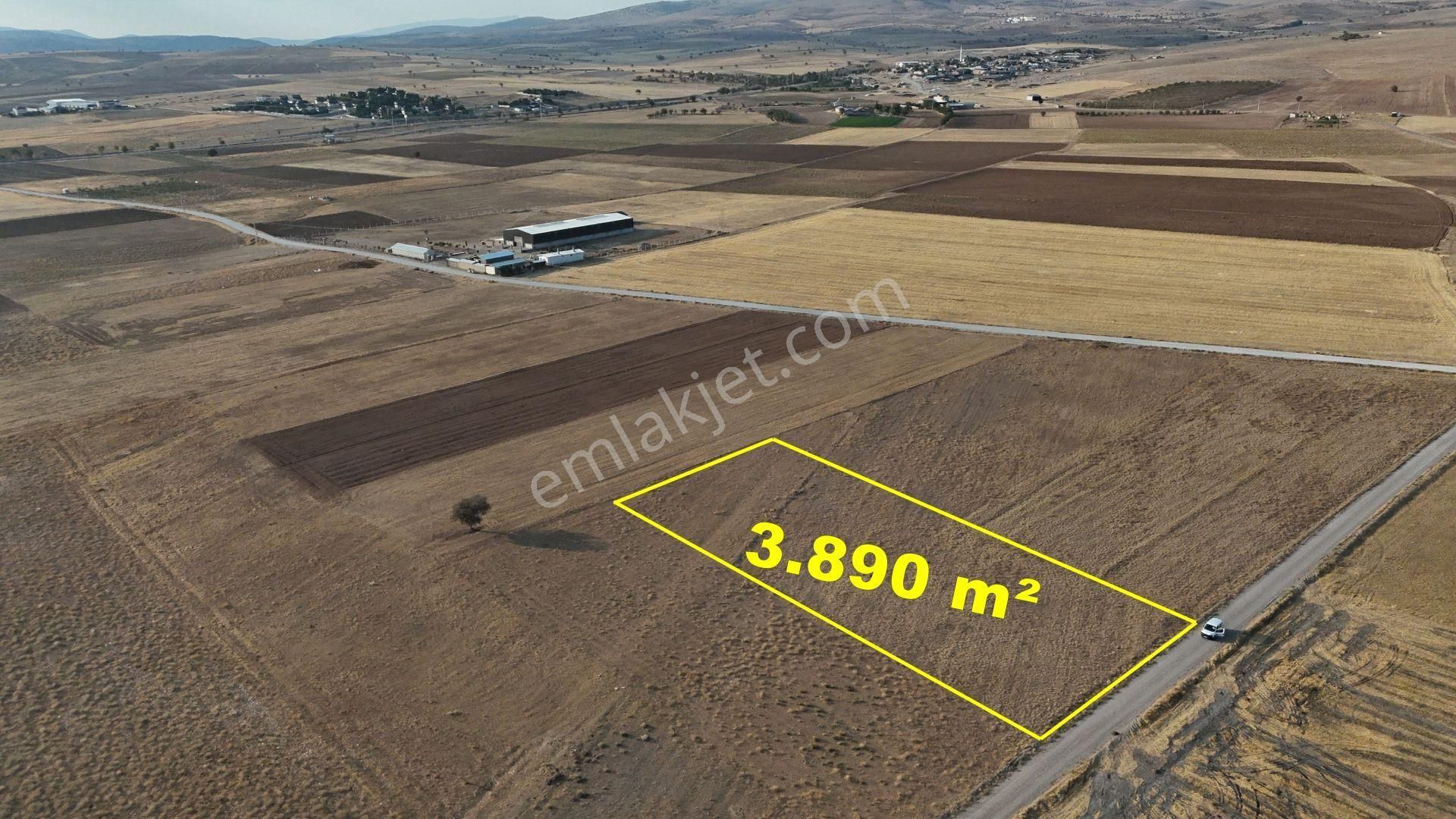 Konya / Meram / Hatunsaray Mahallesinde 3.890 M² Müstakil Tapulu Tarla - Görsel 7