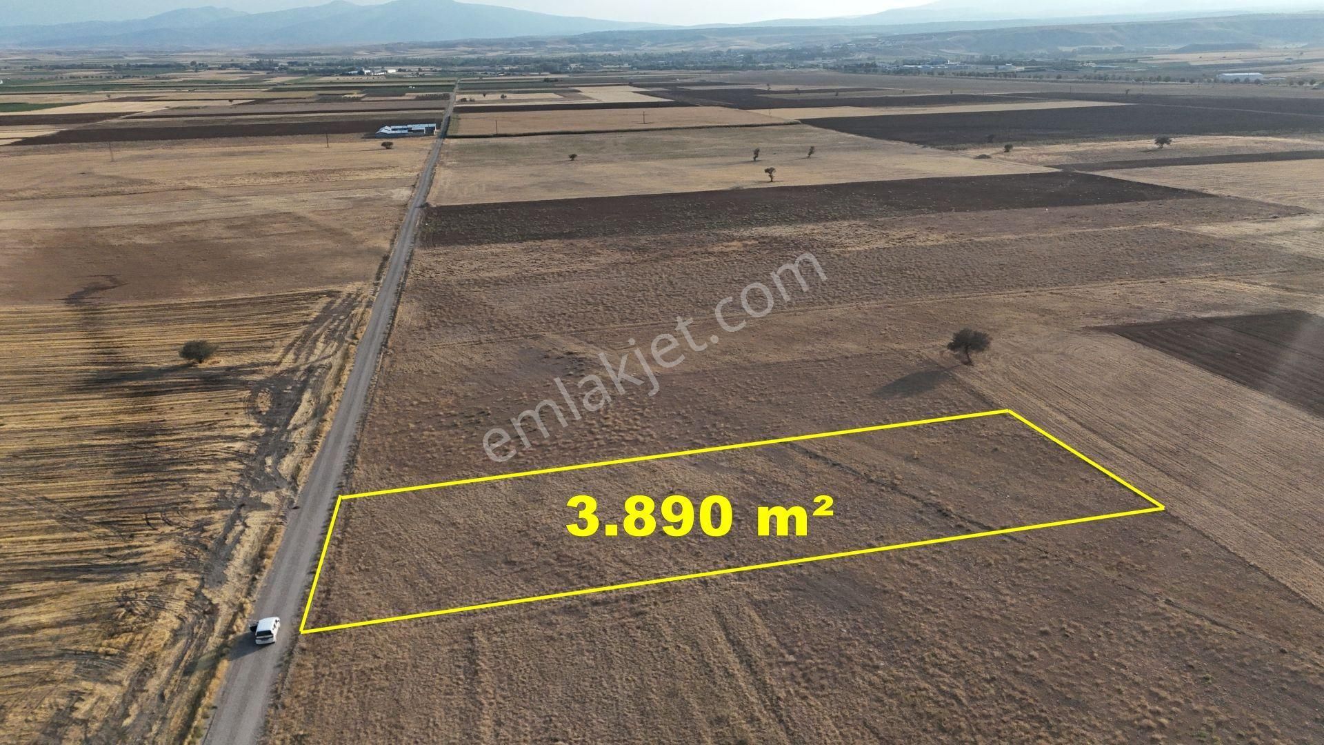 Konya / Meram / Hatunsaray Mahallesinde 3.890 M² Müstakil Tapulu Tarla - Görsel 4