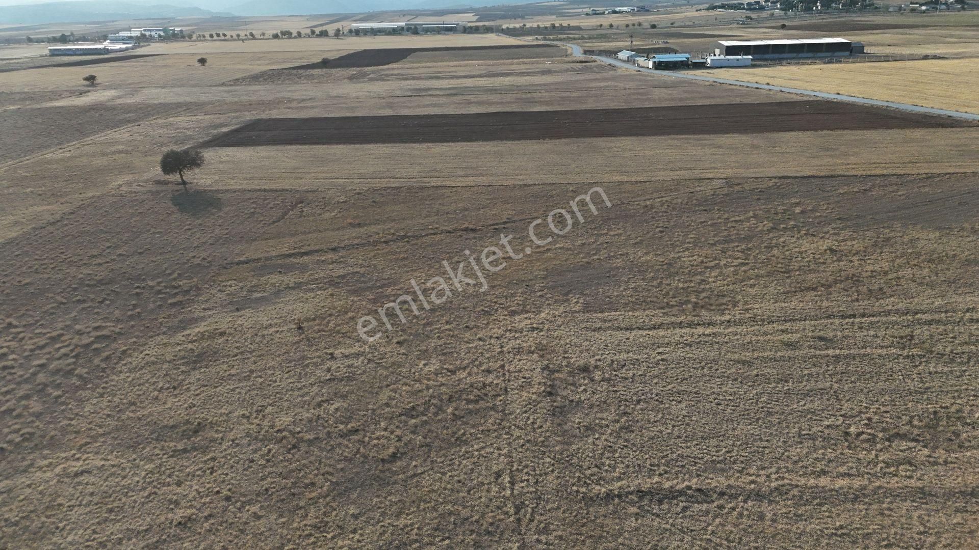Konya / Meram / Hatunsaray Mahallesinde 3.890 M² Müstakil Tapulu Tarla - Görsel 5