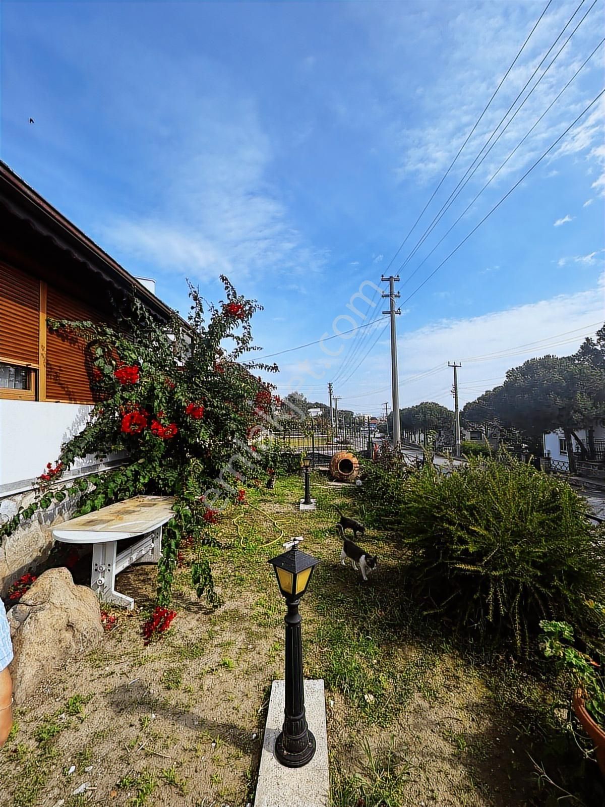 Era Angel'dan Cunda Adasında Eşyalı 2+1 Deniz Manzaralı Kiralık - Görsel 15