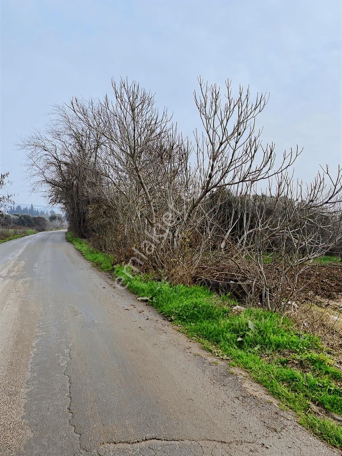 Burcu'dan Bandırma Aksakal'da Yola Sıfır 878 M2 Müstakil Bağ - Görsel 8