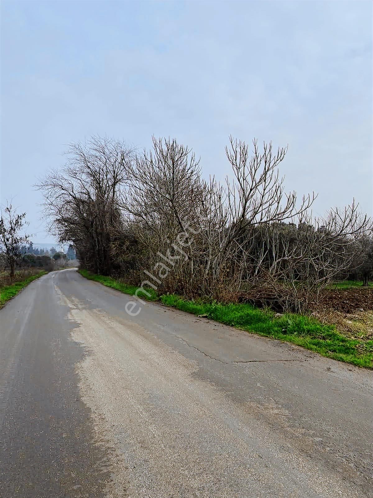 Burcu'dan Bandırma Aksakal'da Yola Sıfır 878 M2 Müstakil Bağ