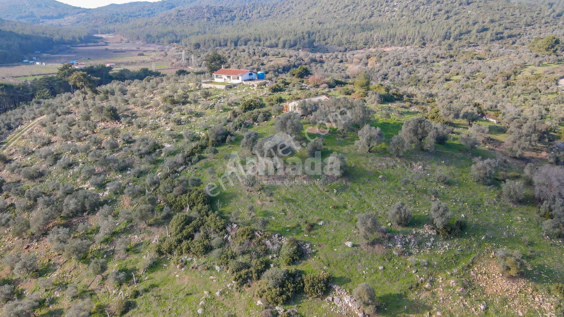 Kuşadası Kirazlı'da Satılık Tarla - Görsel 11
