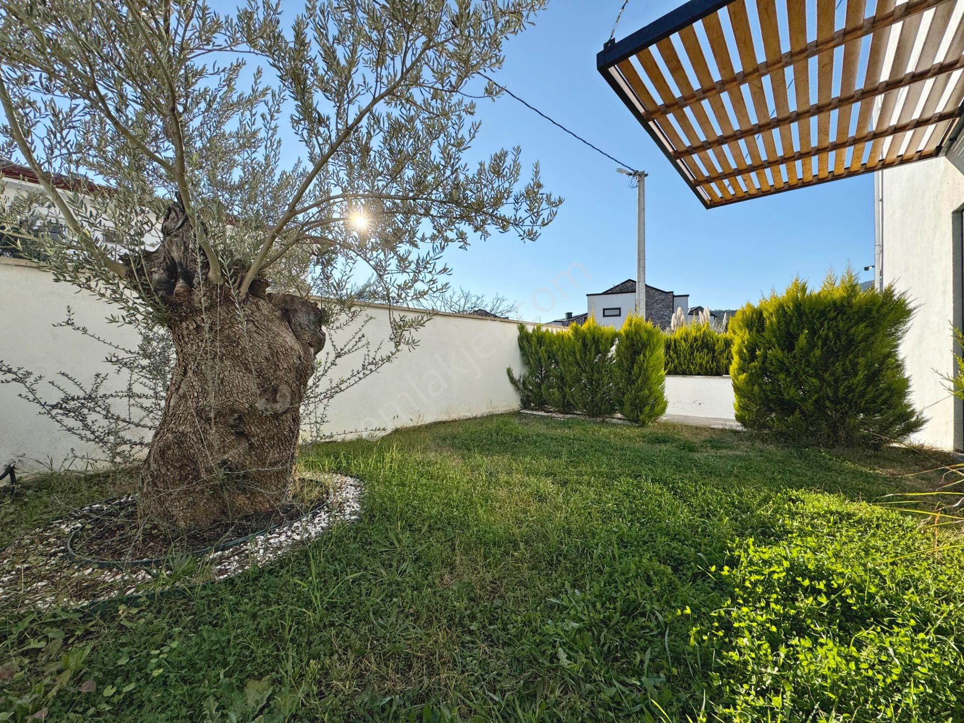 🔴 Güç Gayrimenkul'den Güre'de Yüzme Havuzlu Hayallerinizi Süsleyen Lüx Satılık 5+1villa - Görsel 2