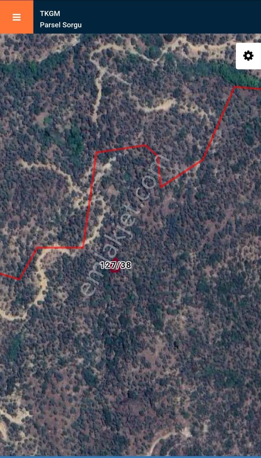 Aydın Karpuzlu Cumalar Karabağ'da 192 M2 Zeytinlik