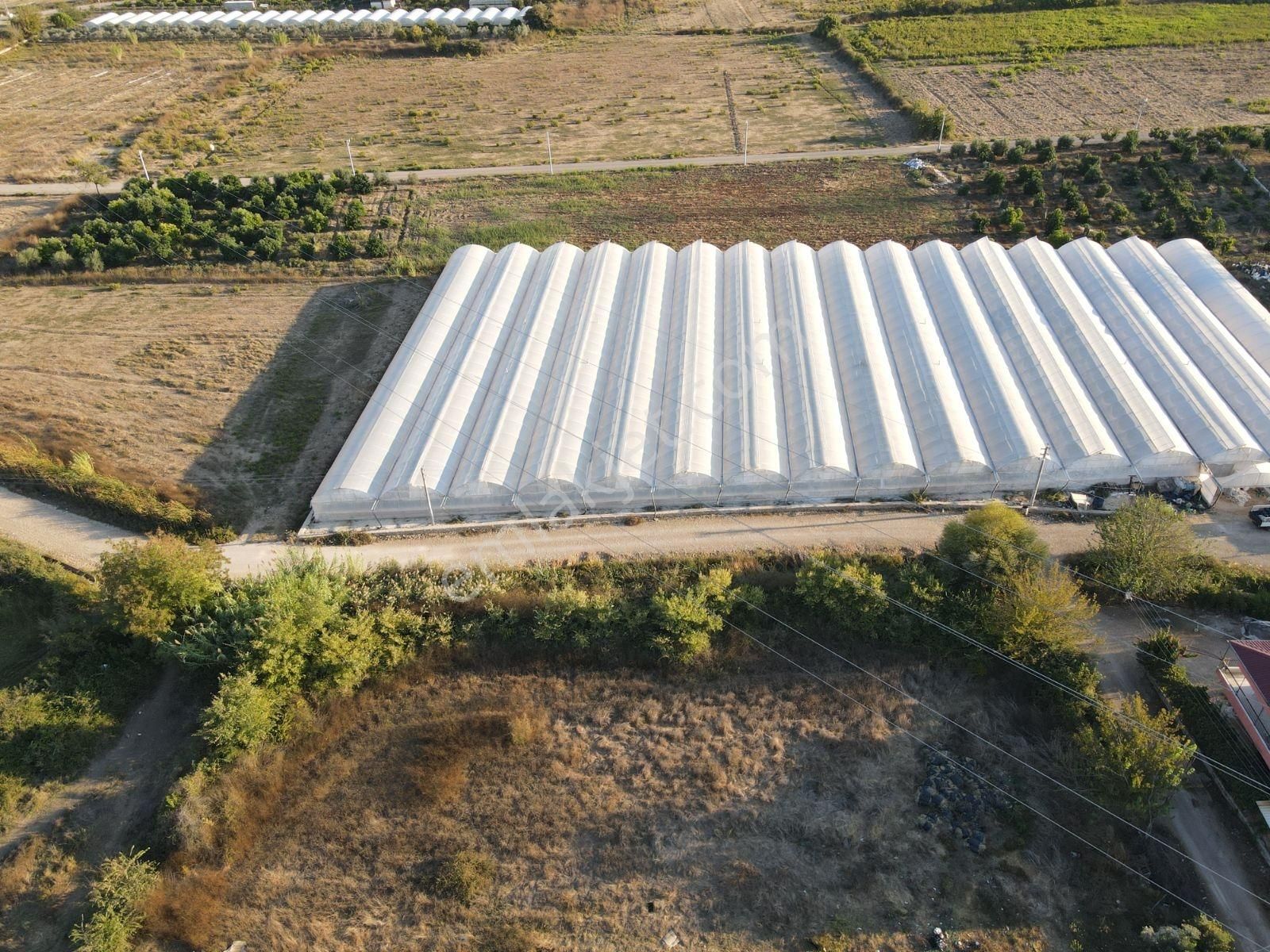 Antalya Serik Yukarıkocayatak Ta Müstakil Tapu 2 Dönüm Satılık - Görsel 2