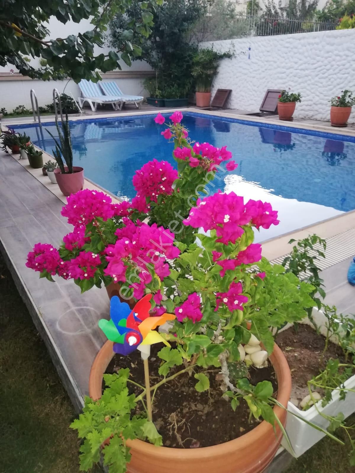 Alaçatı Çamlıkyol'da Satılık Havuzlu Lüks Villa - Görsel 18