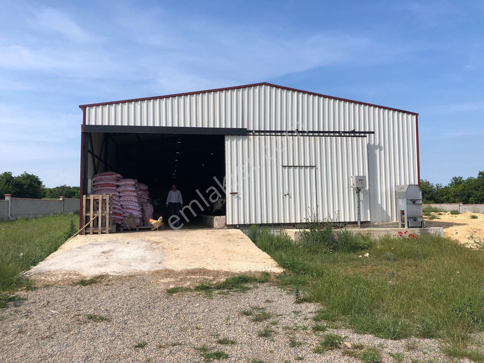 Akyüz Gayrımenkul Den Vıze Evrenlı De 6,547 Mt2 Hazır Kurulu Çıftlık