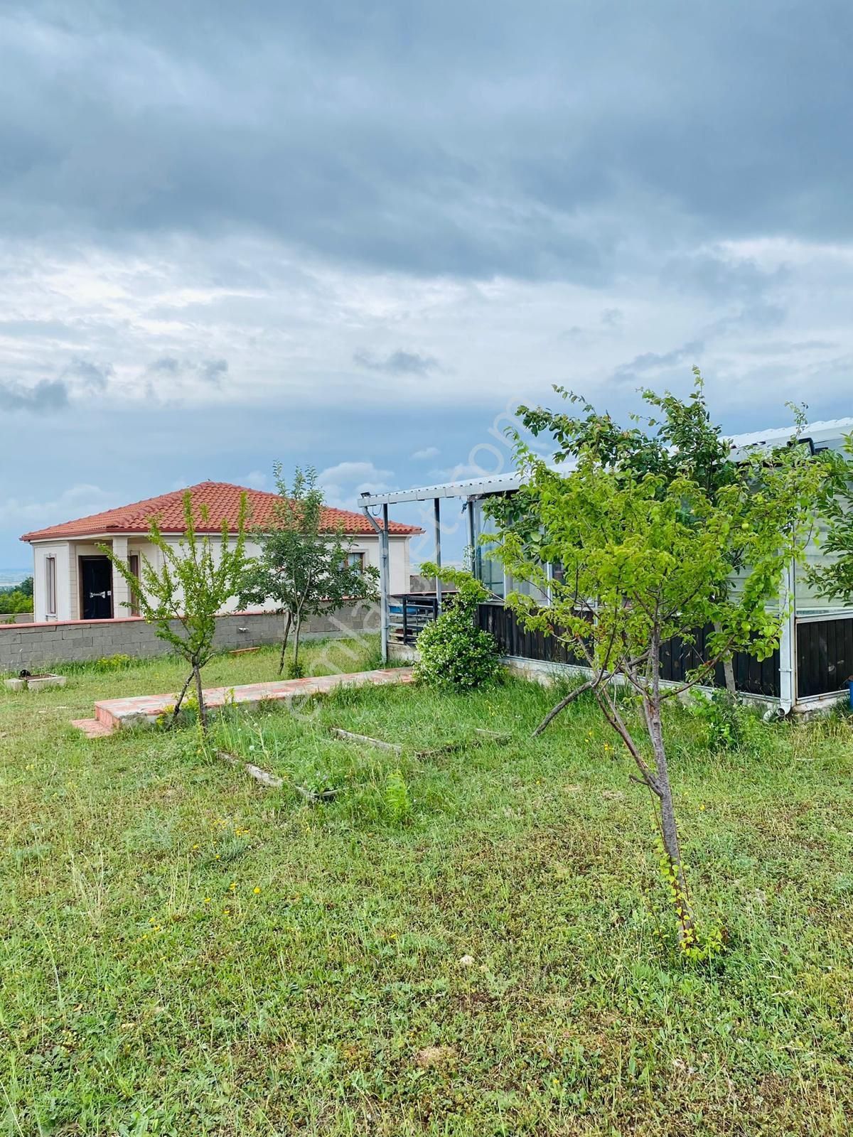 Akyüz Gayrımenkul Den Vıze Evrenlı De 6,547 Mt2 Hazır Kurulu Çıftlık - Görsel 8