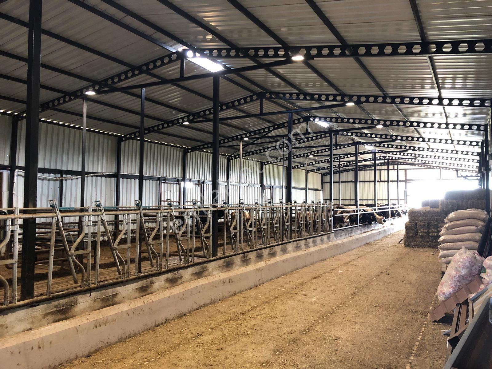 Akyüz Gayrımenkul Den Vıze Evrenlı De 6,547 Mt2 Hazır Kurulu Çıftlık - Görsel 21