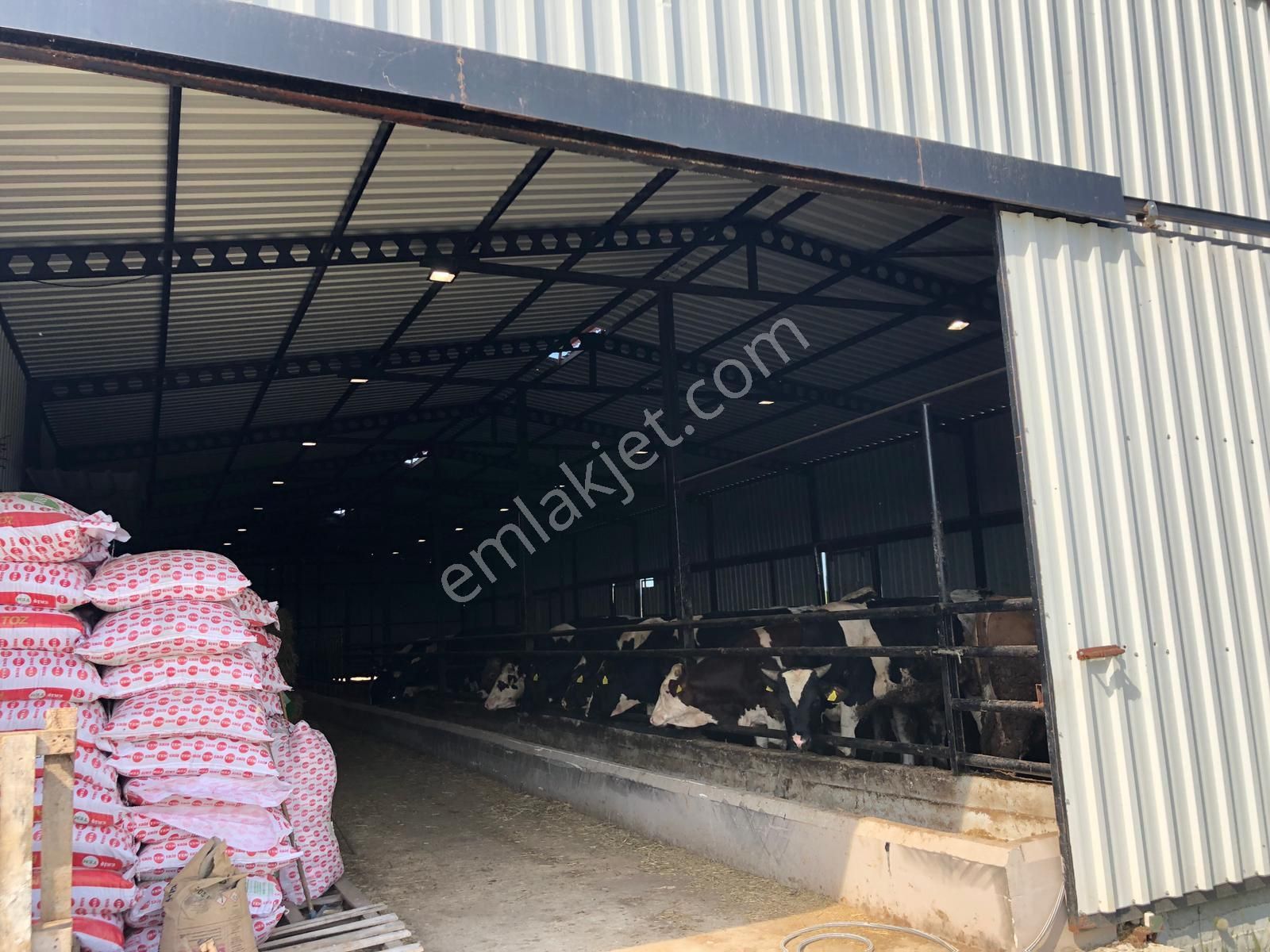 Akyüz Gayrımenkul Den Vıze Evrenlı De 6,547 Mt2 Hazır Kurulu Çıftlık - Görsel 18