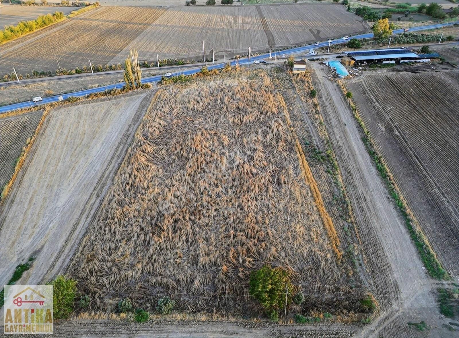Antika'dan İlkkurşun'da Ana Yola Cepheli Kiralık Tarla - Görsel 4
