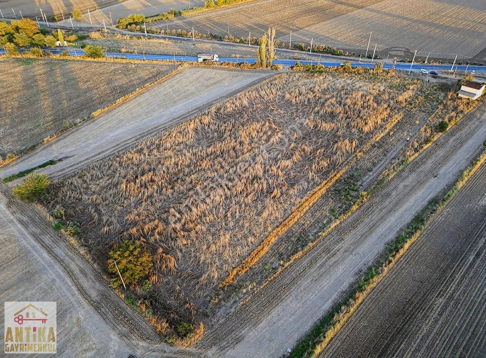 Antika'dan İlkkurşun'da Ana Yola Cepheli Kiralık Tarla
