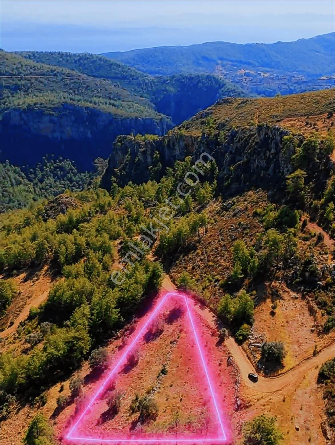 Muğla Menteşe Zeytinköy Mahallesi 4.478 M2 Tarla - Görsel 4
