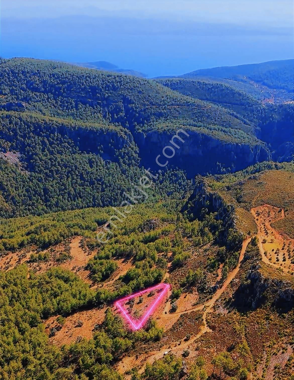 Muğla Menteşe Zeytinköy Mahallesi 4.478 M2 Tarla - Görsel 3