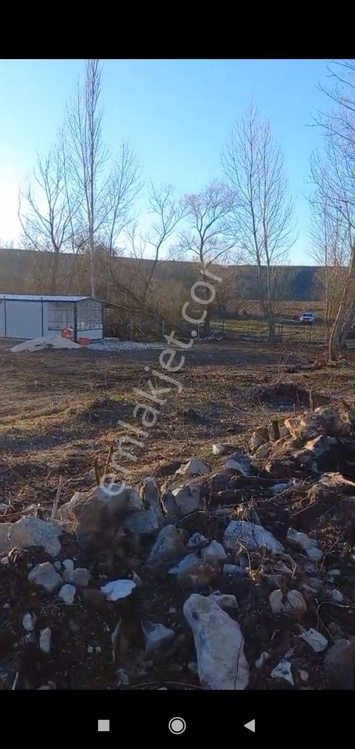 Derbent Karapazar Köyünde Tel Örgülü - Görsel 6