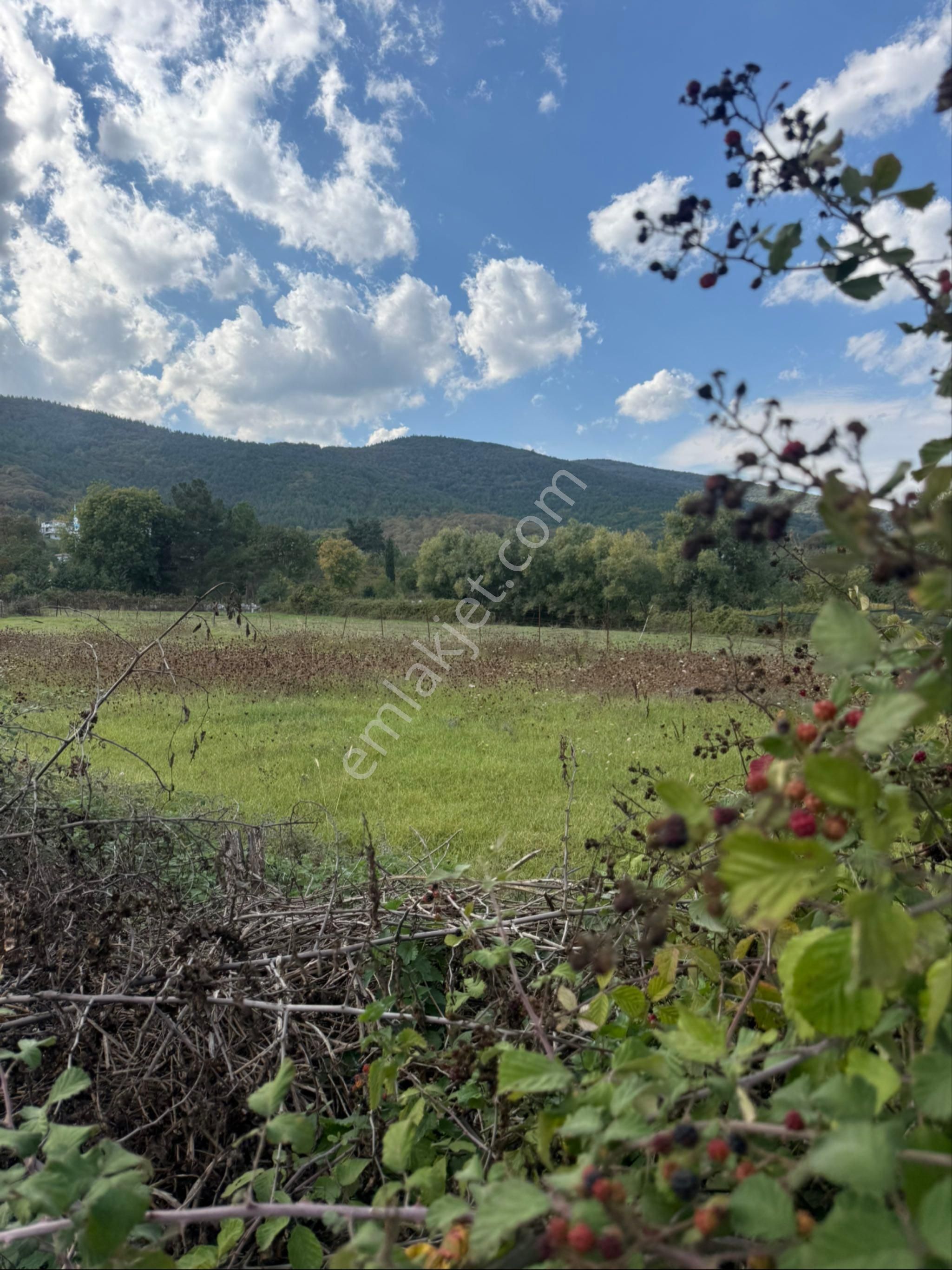 Yeni Proje Batı Çevre Yoluna 150 Mt İmara Açık Mükemmel Yatırımlık Yer