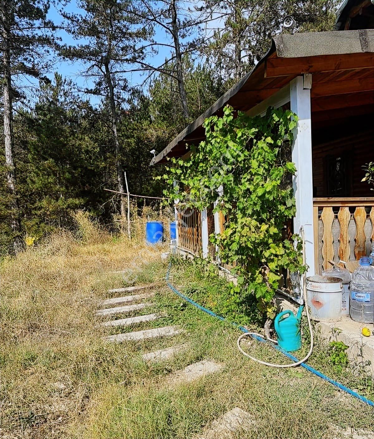 Sakarya Taraklı'da Arsa Ve Kütük Ev - Görsel 9